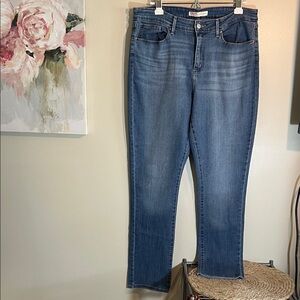 Signature by Levi Strauss Women's Straight Leg Jeans in Blue